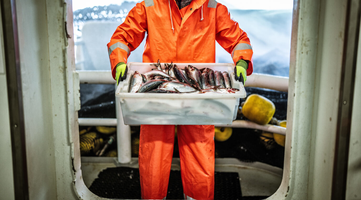 Marinero Pescador